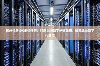 杭州IDC主機(jī)托管 穩(wěn)固數(shù)字基礎(chǔ)設(shè)施，引領(lǐng)企業(yè)數(shù)字化轉(zhuǎn)型的堅(jiān)實(shí)基石